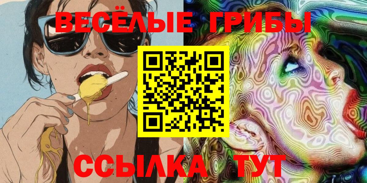 Псилоцибиновые грибы GOLDEN TEACHER  Вход с VPN  Галлюциногенные грибы мицелий  Тихорецк 