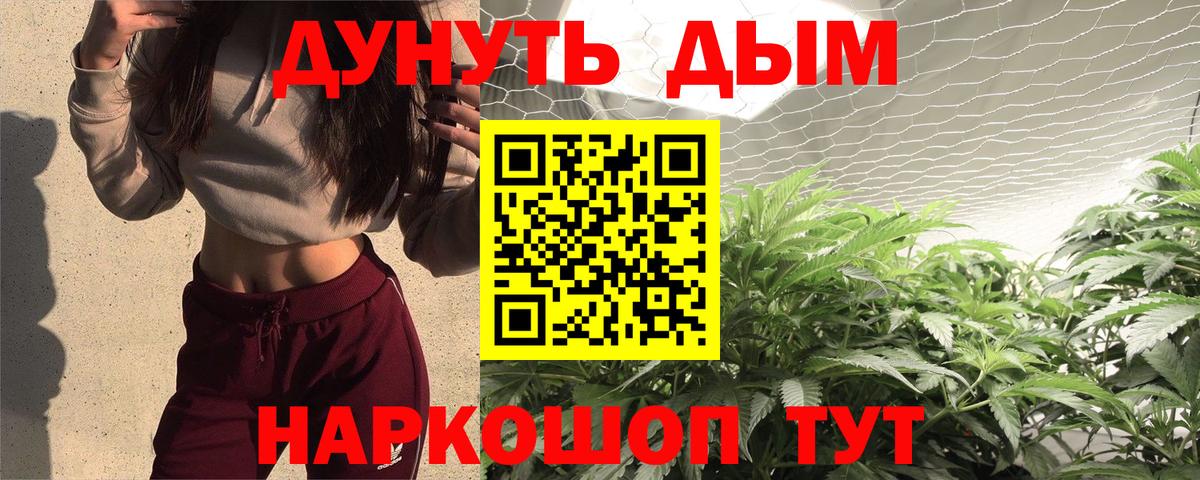 Конопля планчик  Вход с VPN  МАРИХУАНА Ganja  Шишки марихуана семена  Конопля конопля  Тихорецк 